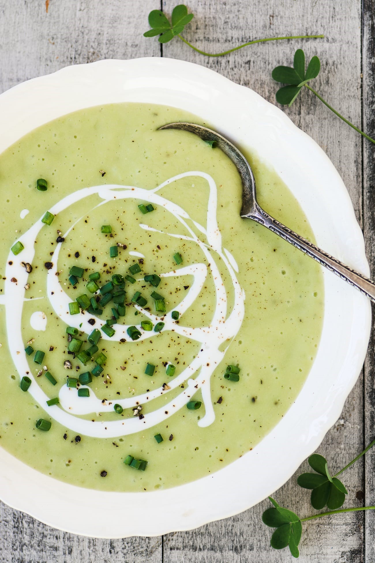 Brocolli & Stilton Soup